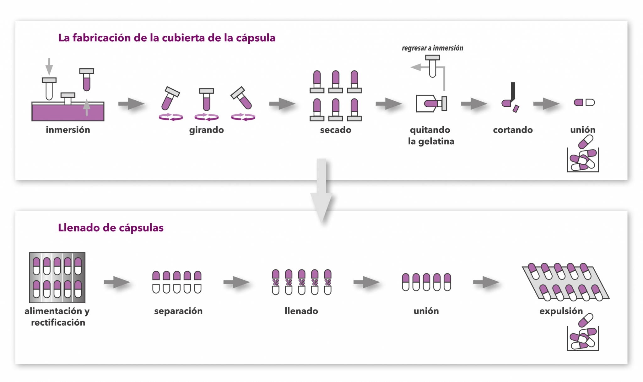 Razones De Los Defectos MÁs Comunes De Las CÁpsulas Sensum Computer Vision Systems 4572